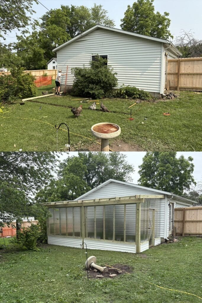 before and after of polycarbonate greenhouse building