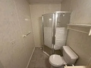 Bathroom Remodel In Cayuga Before
