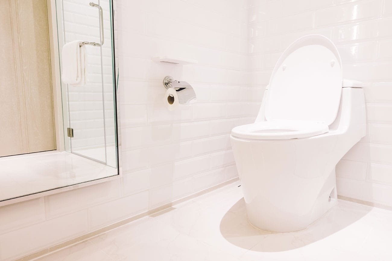 Toilet Installation & Replacement in Terre Haute, Indiana